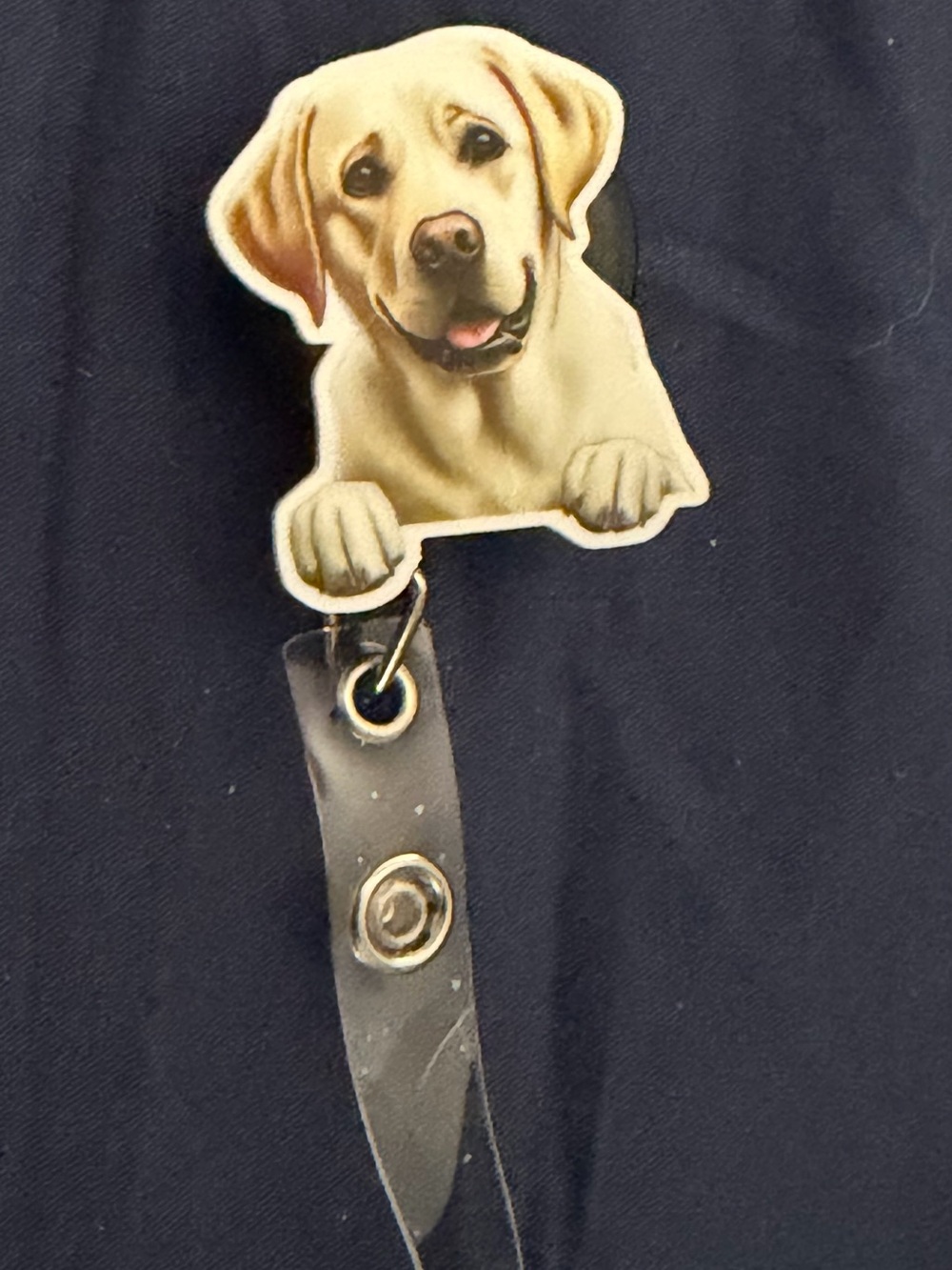 Cream Labrador Dog Badge Reel ID Holder